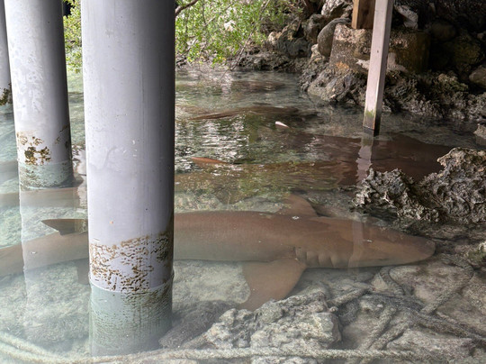 Pension Vekeveke Village主图