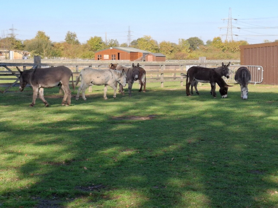 The Wonkey Donkey Visitors Centre-Knottingley必去景点