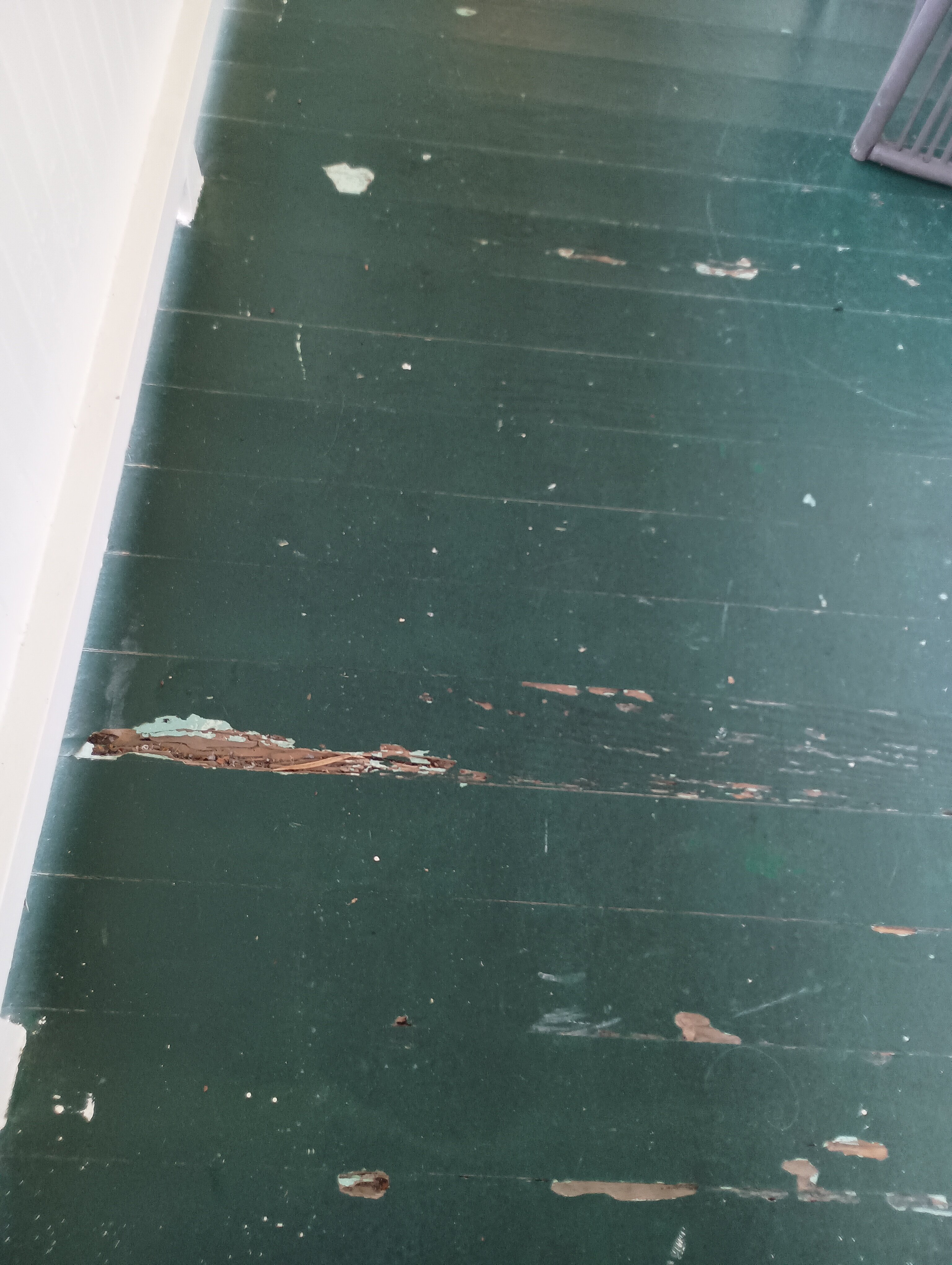 野姜家庭式酒店-官方