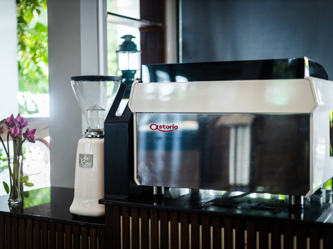 绿色亚马逊公寓酒店