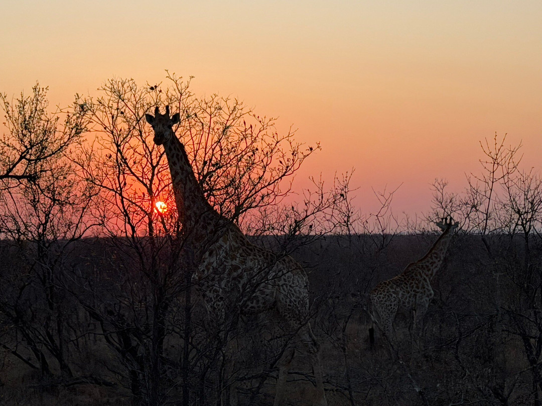 KPS Safaris & Tours-伐拉博瓦必去景点