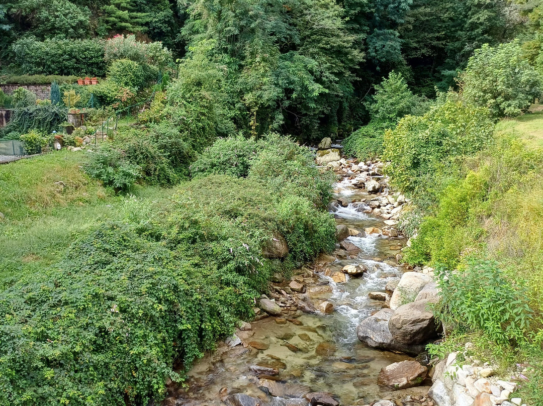 Ponte sul Pellino-Pella必去景点