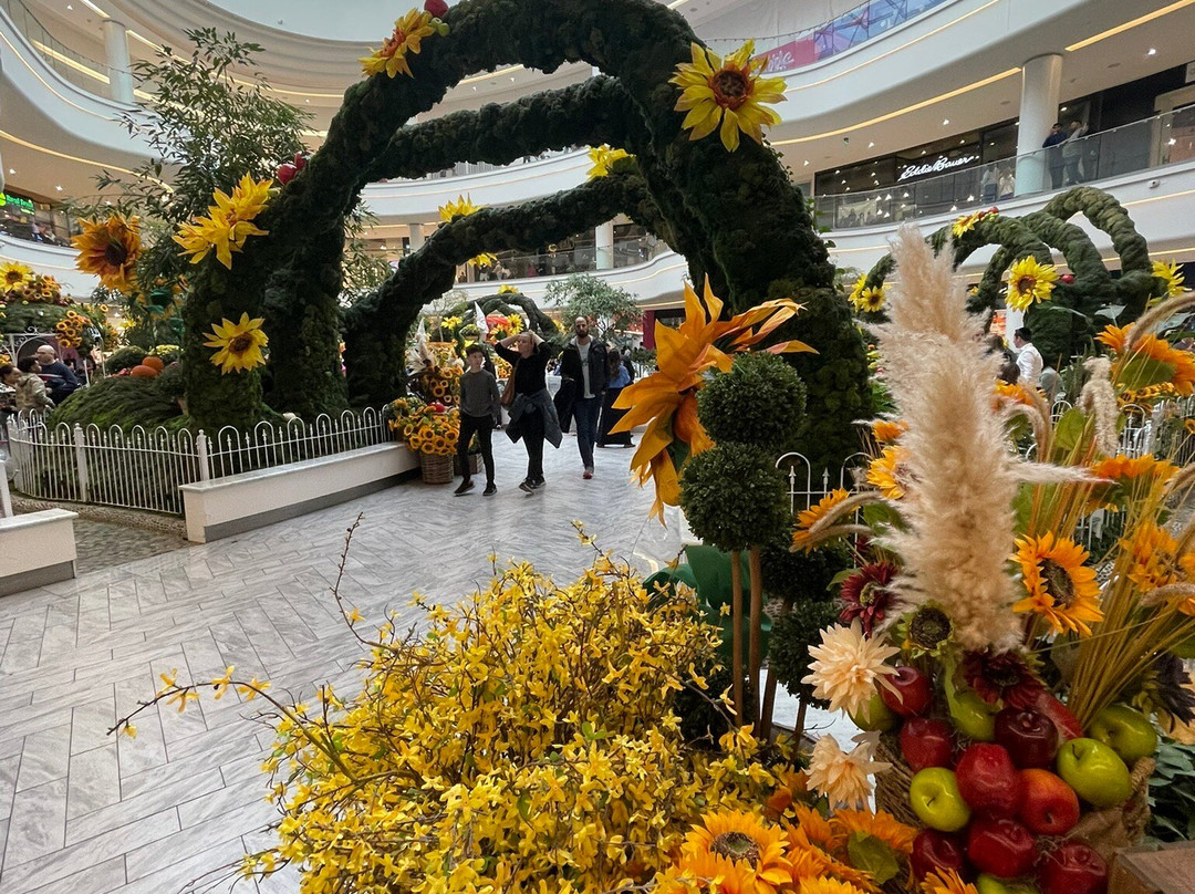 American Dream Mall-东卢瑟福必去景点