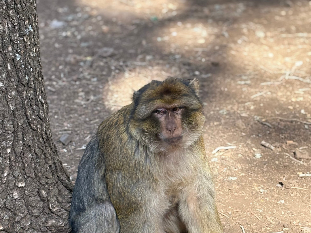 Bachir & Freres Tours-非斯必去景点
