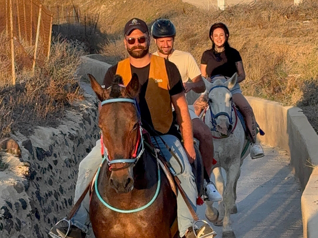 Maris Horseriding Santorini-费拉必去景点