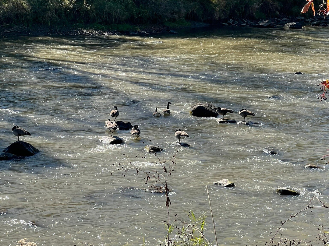 Baraboo Riverwalk-巴拉布必去景点