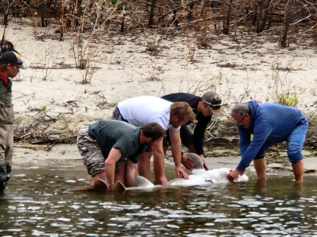 Snake River Adventures-刘易斯顿必去景点