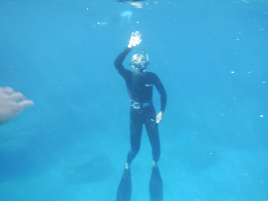 The Waterhoppers Diving School-罗德城必去景点