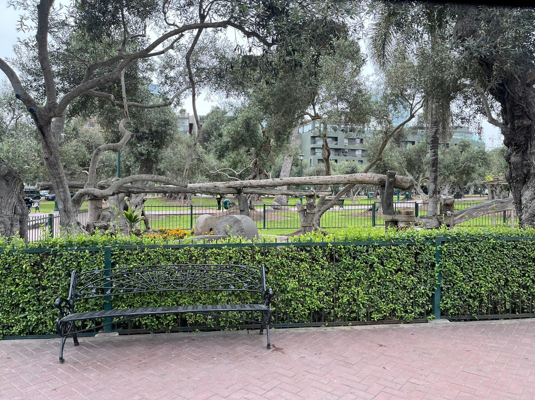 Parque El Olivar de San Isidro-利马必去景点
