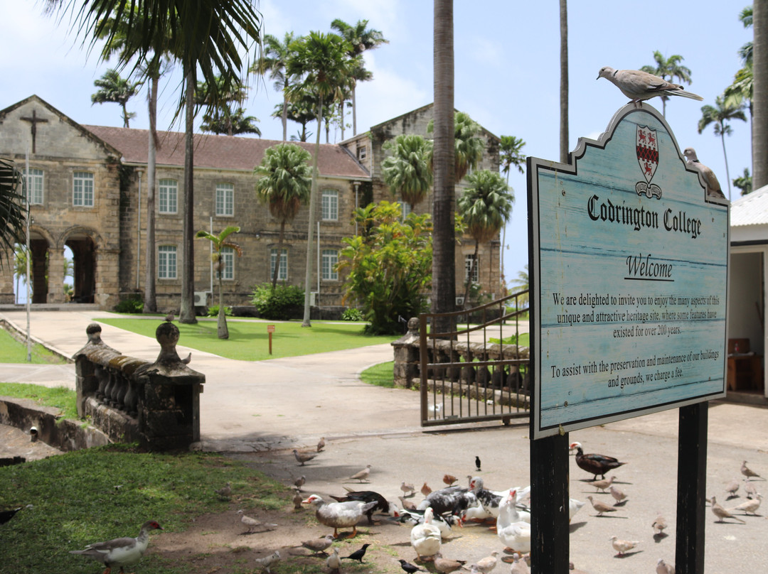 Codrington College-Saint John Parish必去景点