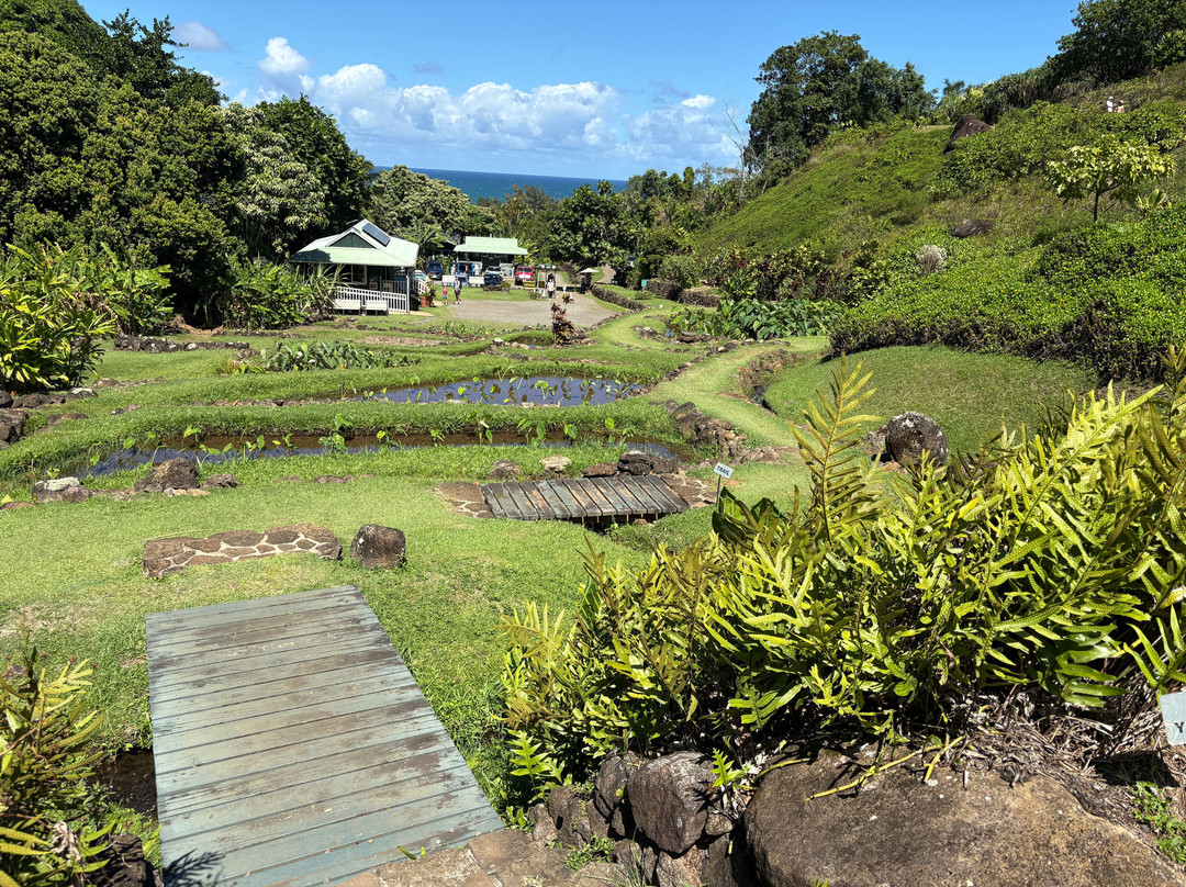 Limahuli Garden and Preserve-哈纳雷伊必去景点