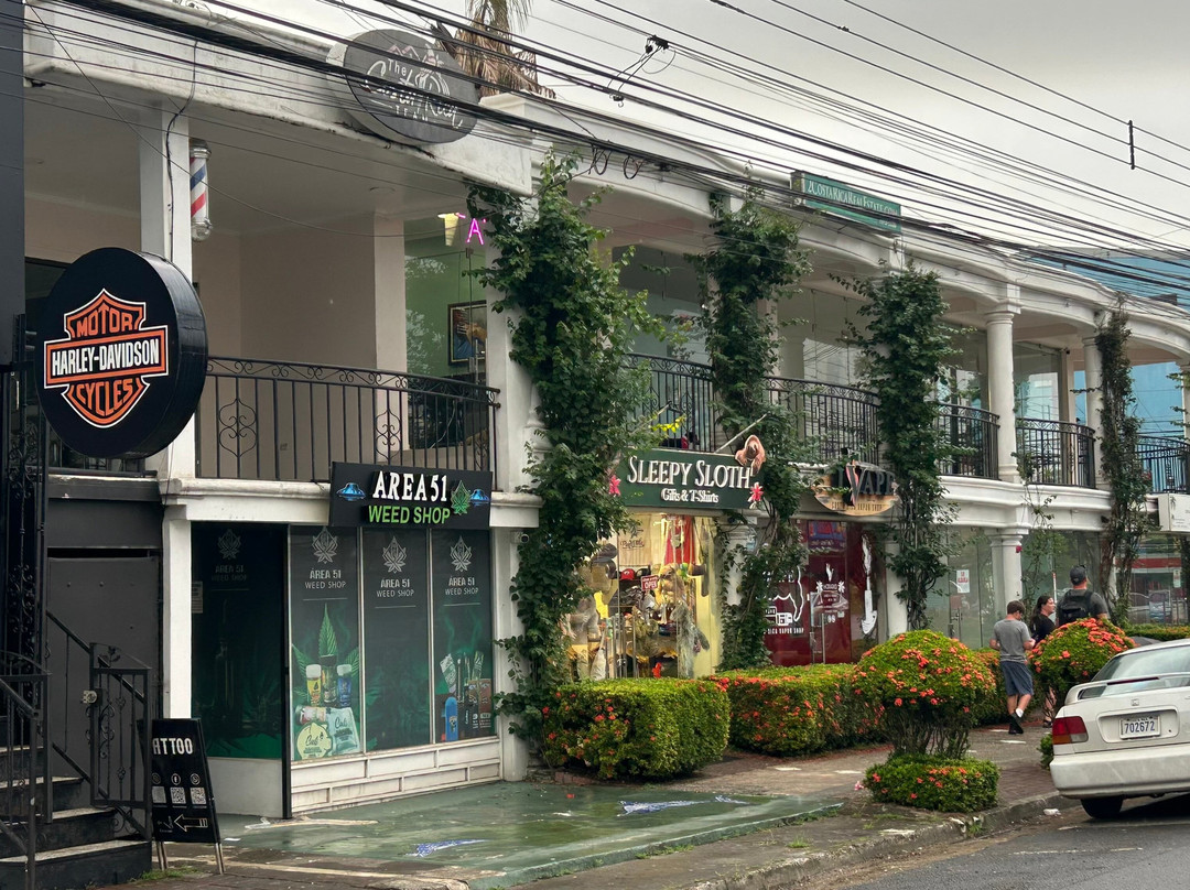 Buena Vibra Tattoo Studio-哈科必去景点