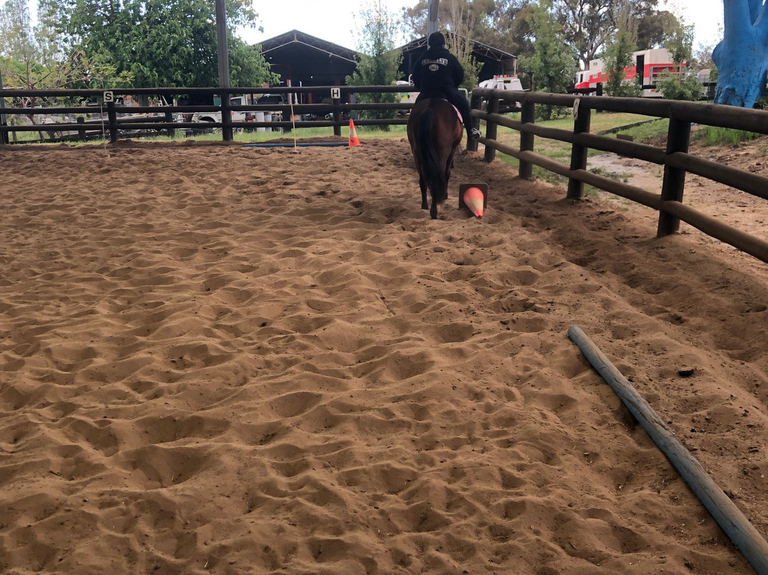 Jarrahdale Equestrian Centre-Jarrahdale必去景点