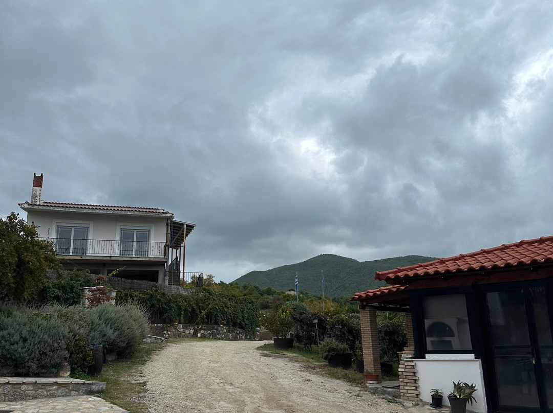 Vriniotis Winery-Edipsos必去景点