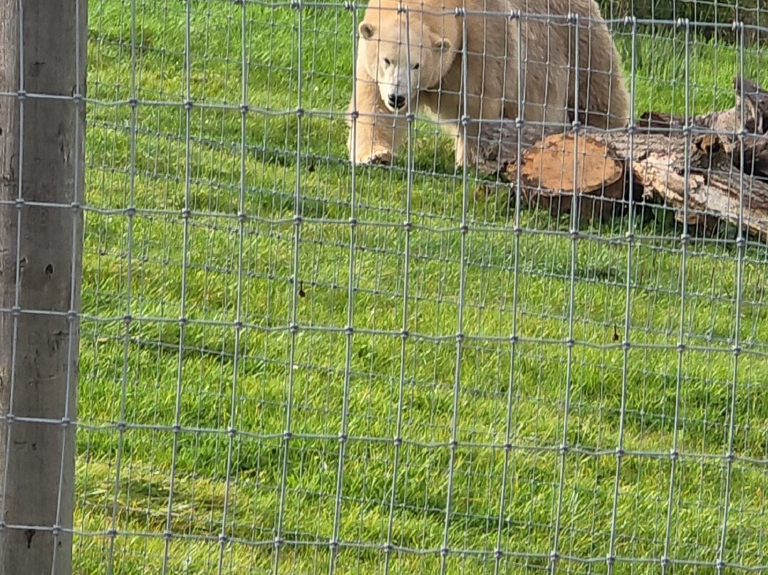 Jimmy's Farm & Wildlife Park-伊普斯威奇必去景点