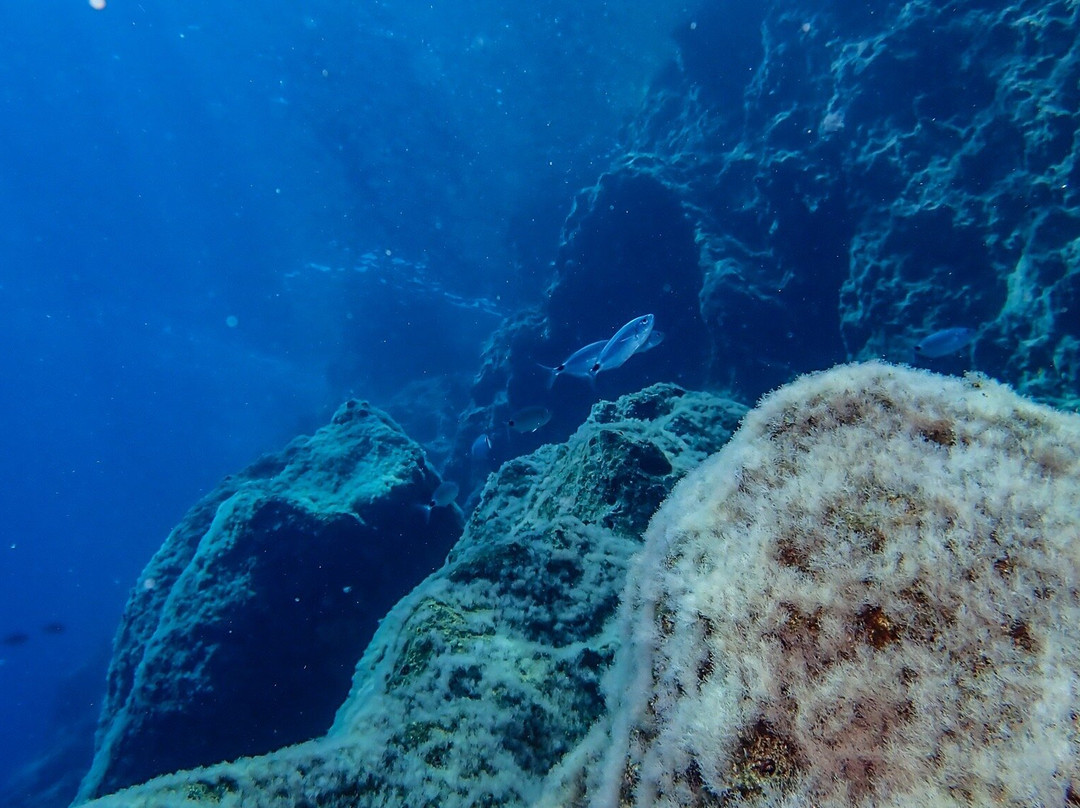 Evelin Dive Center-Platanias必去景点
