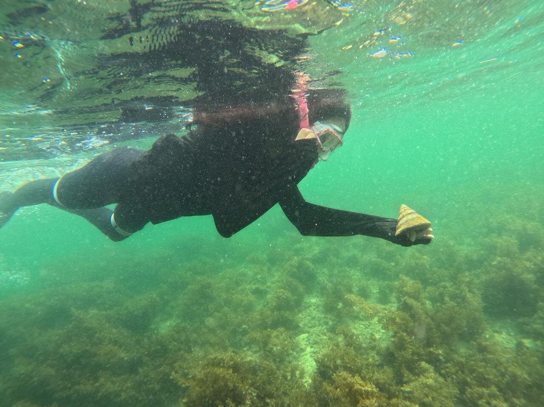 Batam Snorkeling Tour-Tembesi必去景点
