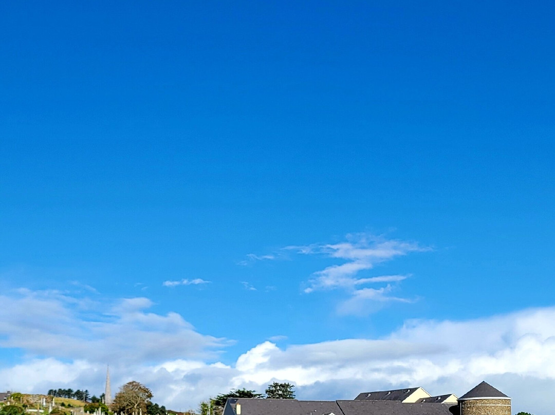 Celtic Ross Hotel主图