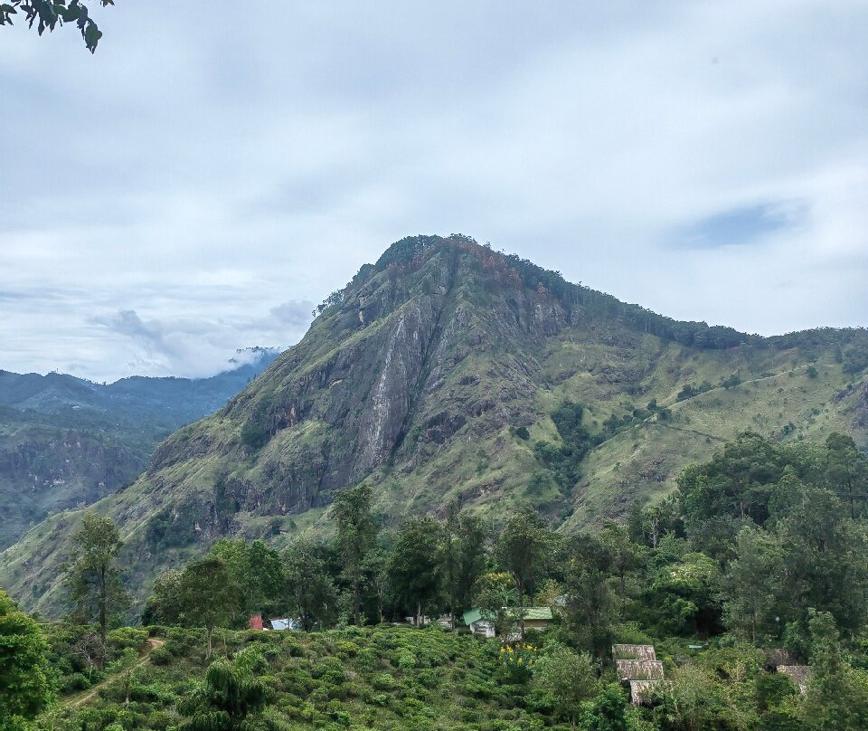 Muthumuni Ayurveda Beach Resort主图