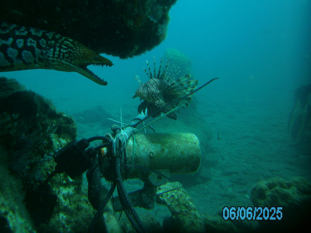 Atlantis Diving Center-Adelianos Kampos必去景点