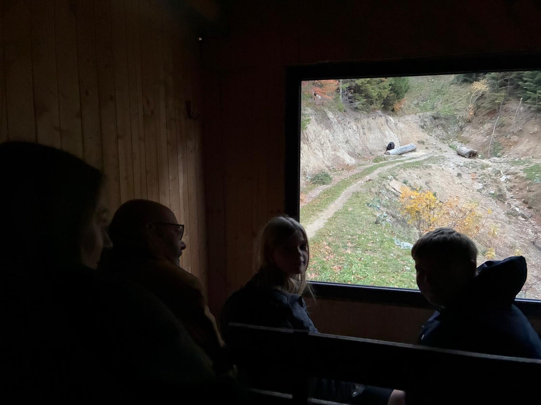 Absolute Carpathian-布拉索夫必去景点