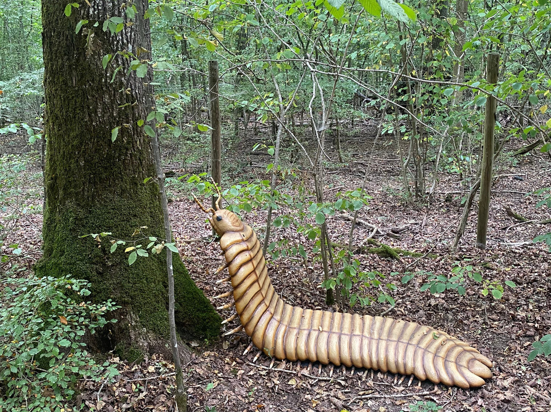 Dinosaurierpark Teufelsschlucht-Ernzen必去景点