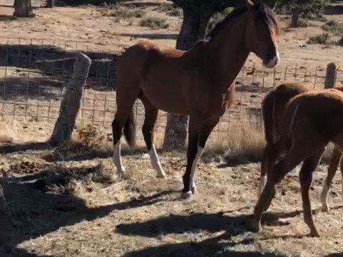 Aprende de Toros-塞维利亚必去景点