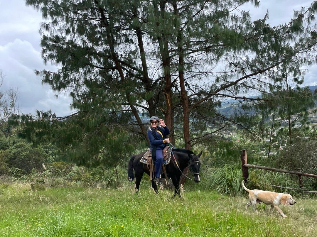 Centro Ecuestre Bellavista-昆卡必去景点
