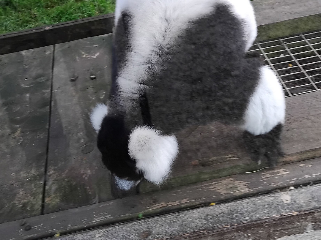 Filey Bird Garden & Animal Park-Filey必去景点