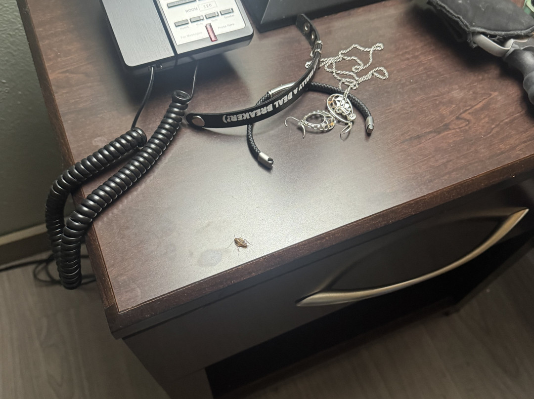 Baymont by Wyndham Tuscola主图