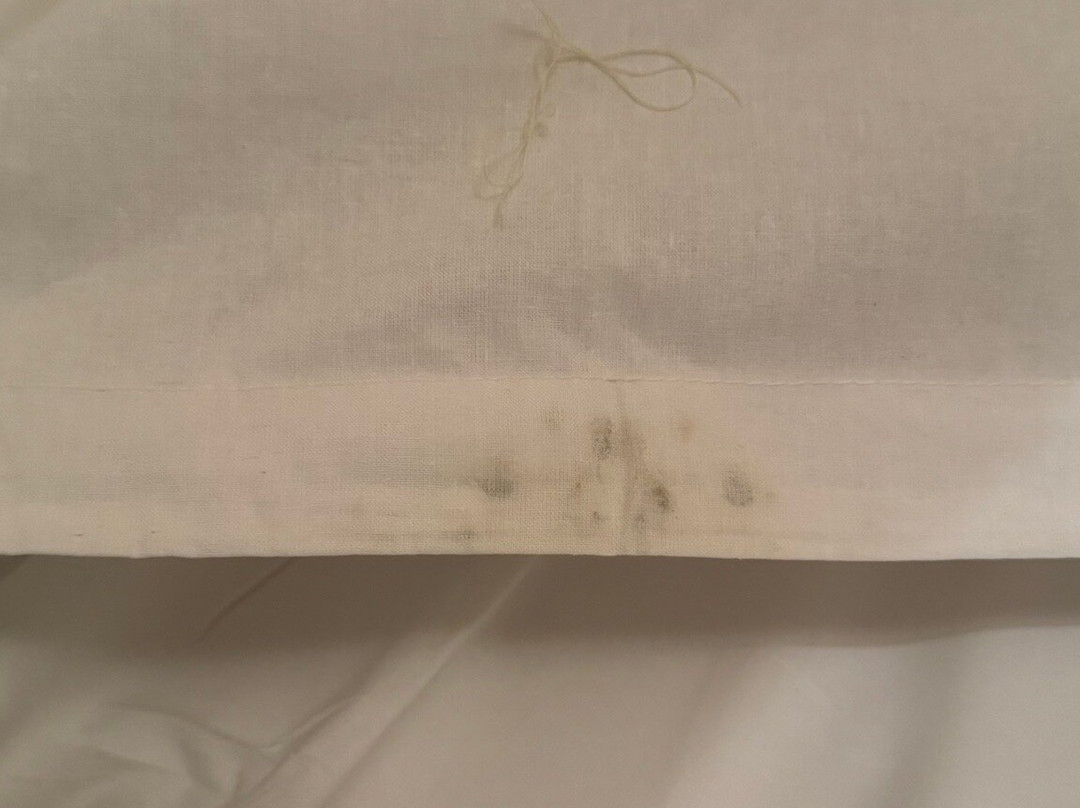 Résidence Le Domaine Du Green - Vacancéole主图