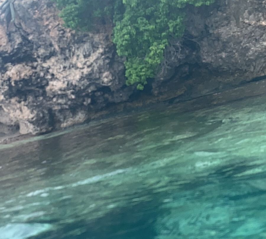 Curacao Taxi Max-威廉斯塔德必去景点