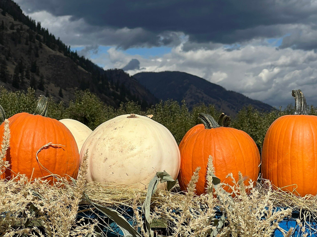 Peach King Fruit Stand-Keremeos必去景点