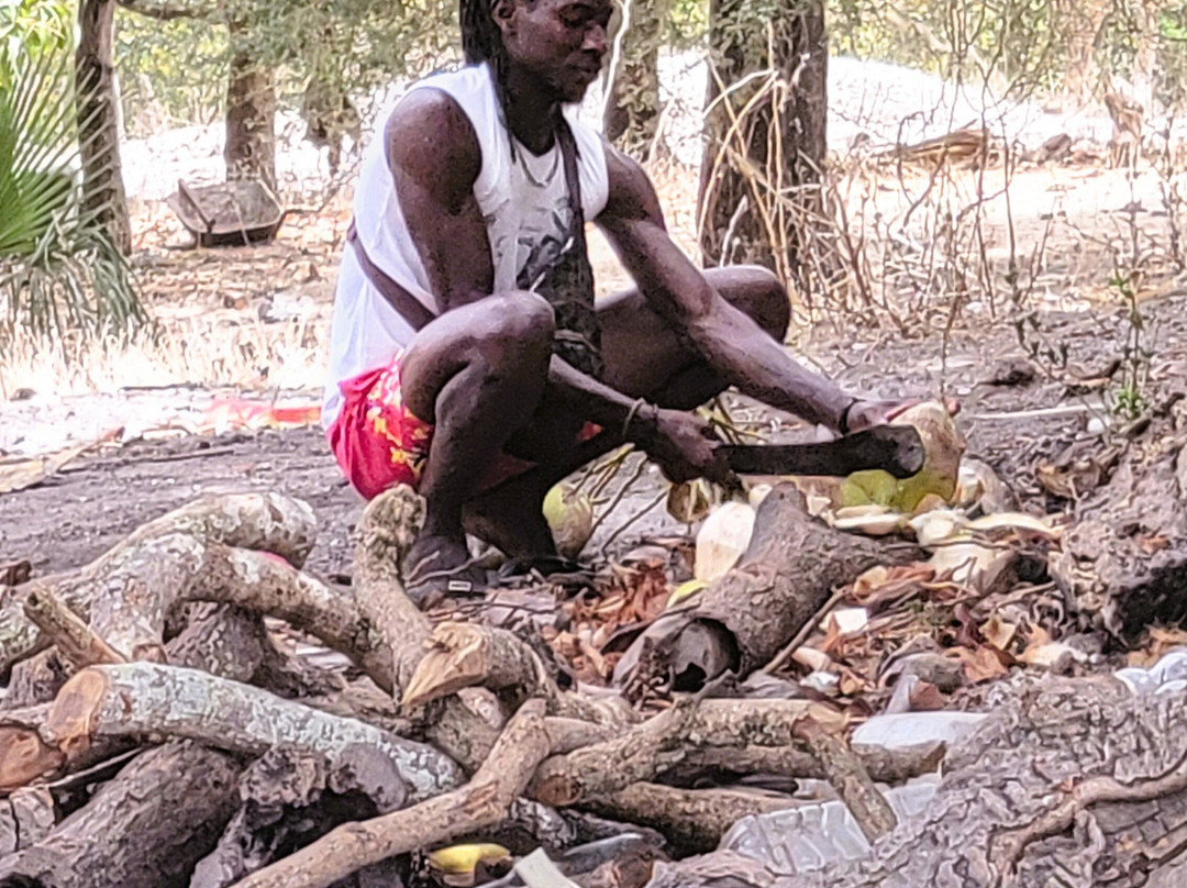 Casamance Au Present-济金绍尔必去景点