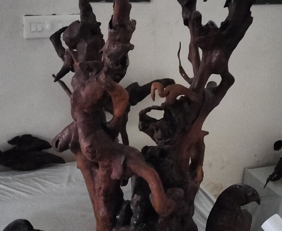 Bay Island Driftwood Museum-科塔亚姆必去景点