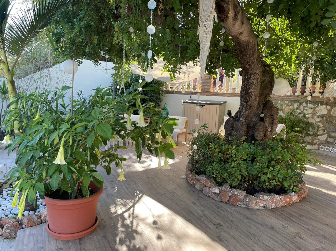 Finca La Vida Loca - Adults Only主图