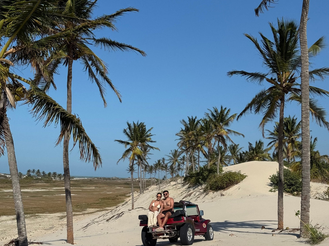 Passeios de Buggy Jeri-杰里科科拉必去景点