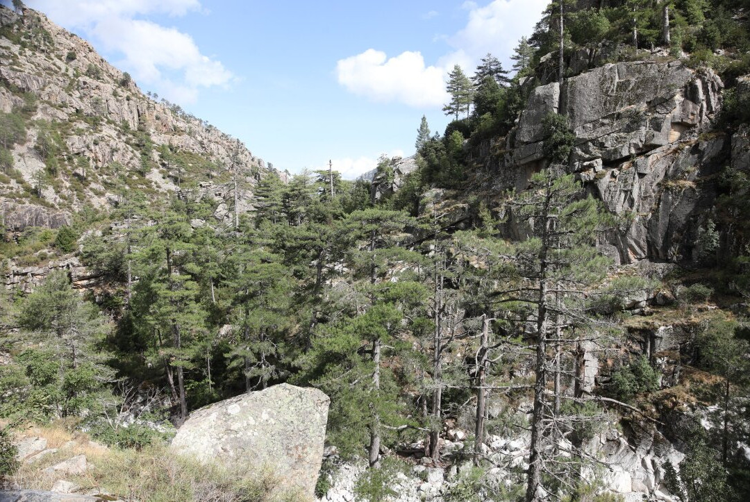 Gorges De La Restonica-科西嘉必去景点