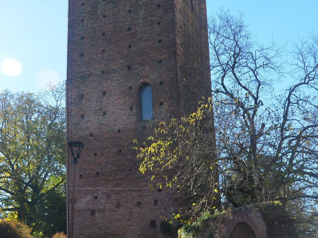 Torri del Castello medioevale-罗维戈必去景点
