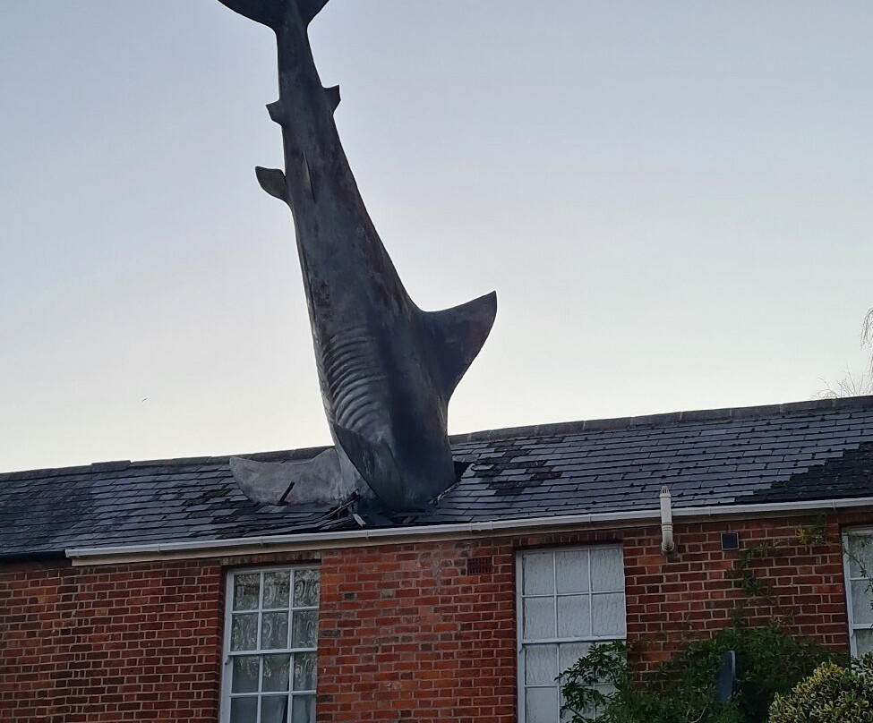 Headington Shark-Headington必去景点