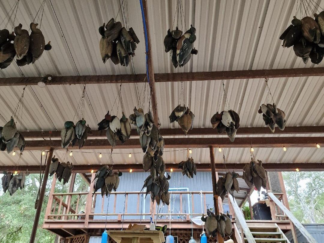 Mossy Brake Camp Swamp Tours-Karnack必去景点