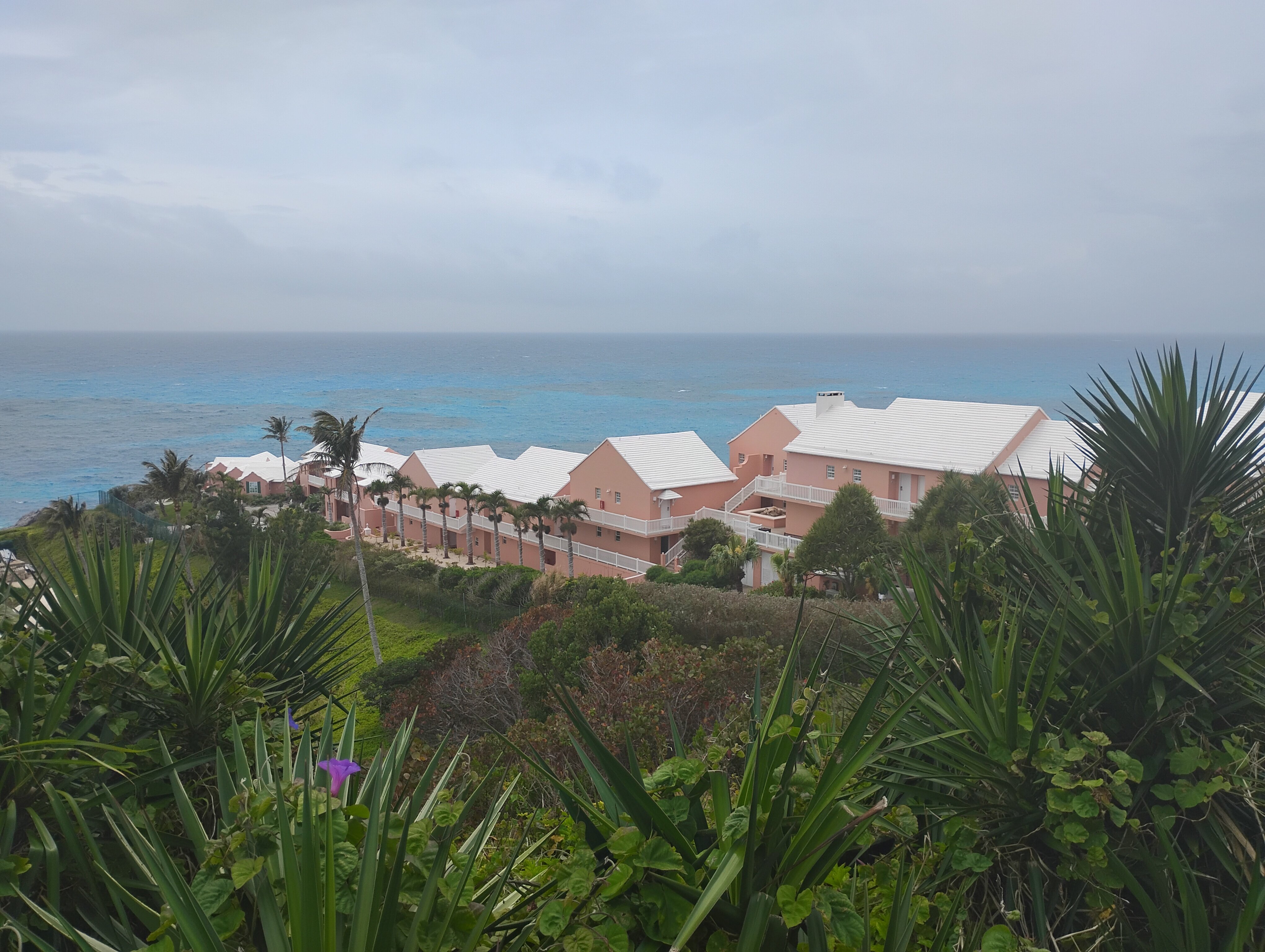 珊瑚礁俱乐部度假村-官方