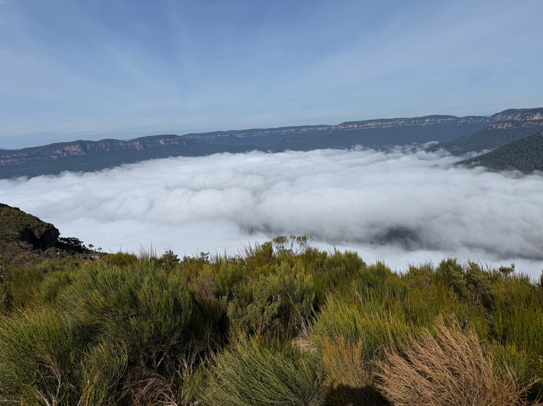 Blue Mountains Eco Tours-卡通巴必去景点