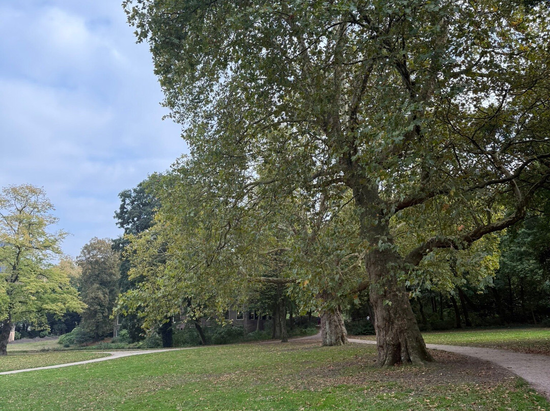 Het Park-鹿特丹必去景点
