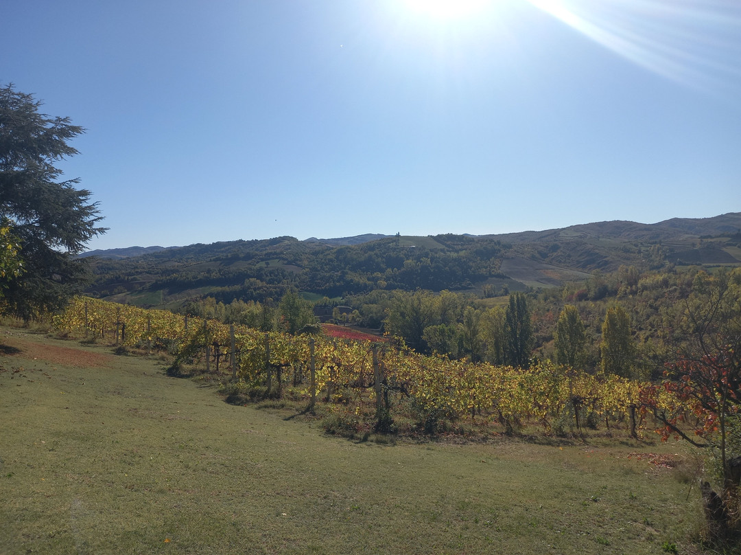 Azienda Agricola Fedrizzi Alessandro