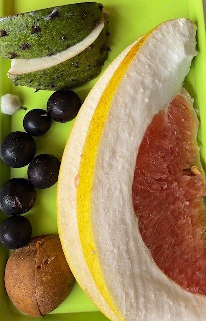 Cape Trib Exotic Fruit Farm-Cape Tribulation必去景点