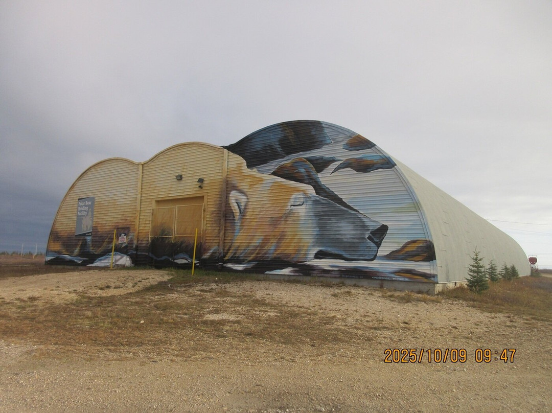 Polar Bear Holding facility