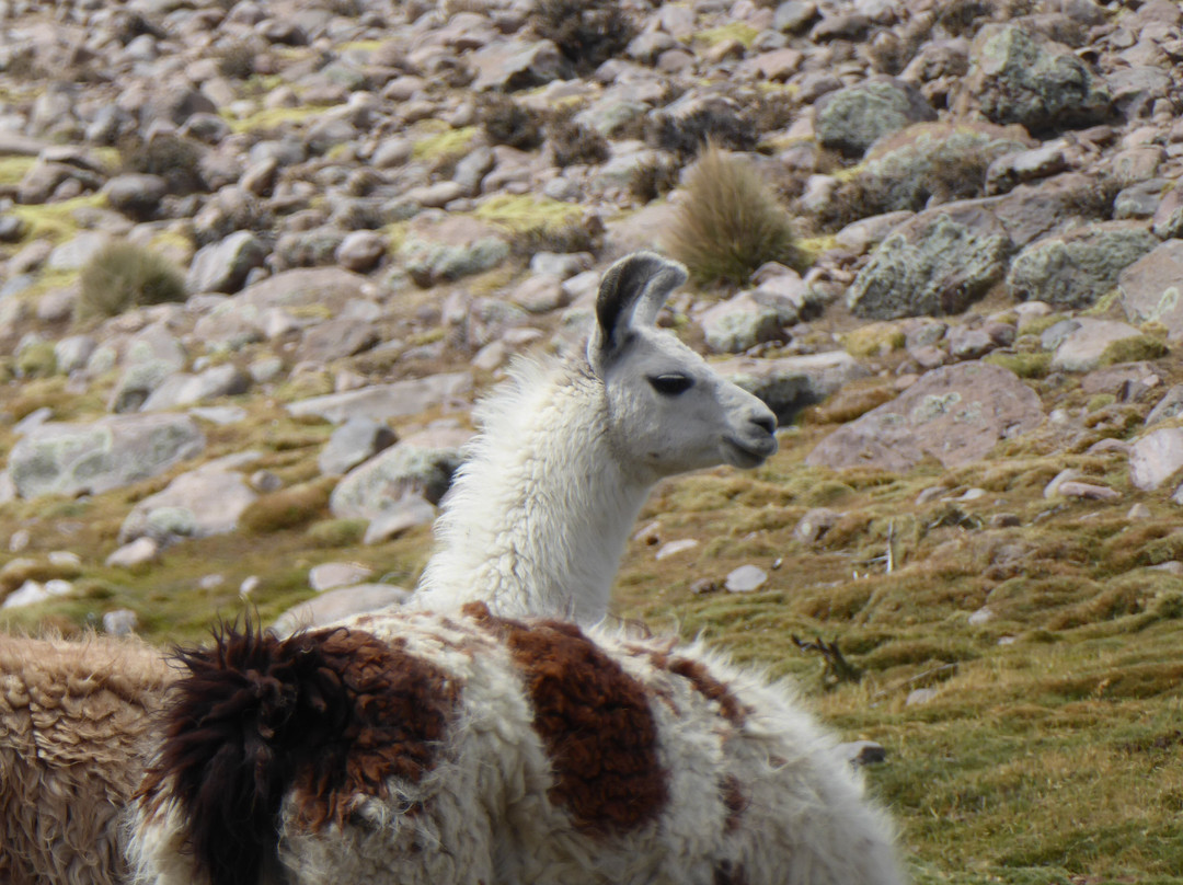 Mayuru Tour-Putre必去景点