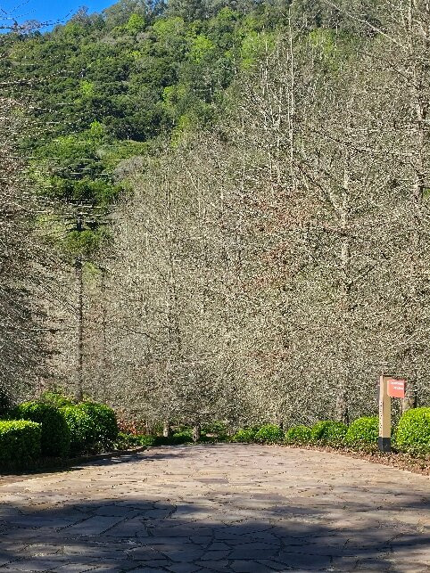 Garden Park Gramado-格拉玛多必去景点