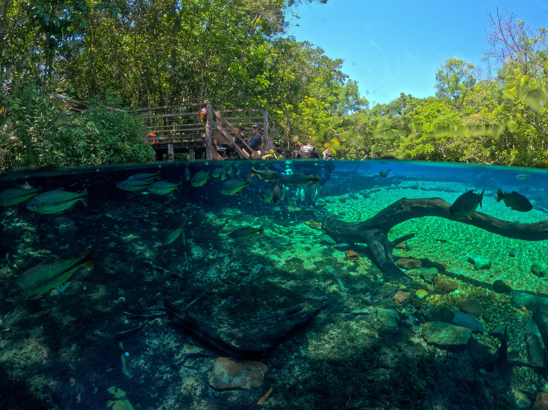 Recanto Ecologico Rio da Prata-博尼图必去景点